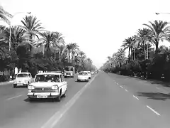 Sevilla Av. de la Palmera  tribujaos