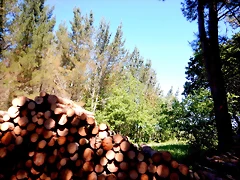 DSCN2302 DSCN2302