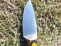 DSCF3101 DSCF3101