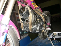 DSCN3437 DSCN3437