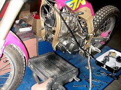 DSCN3436 DSCN3436
