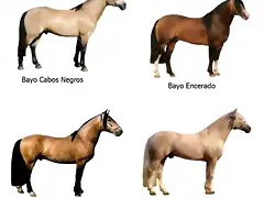 pelajes_de_caballos pelajes_de_caballos