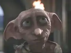 dobby-743954