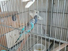 IMG_20250605_085358