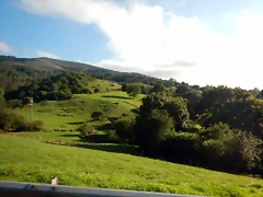 DSCN8732 DSCN8732