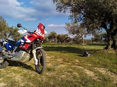 IMG_20190408_184353