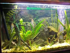 95 lts (Small) 95 lts (Small)