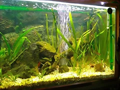 95 lts (1) (Small) 95 lts (1) (Small)