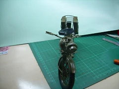 DSCN2233 DSCN2233