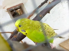 IMG_20180309_165936