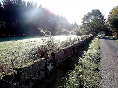 DSCN9780 DSCN9780