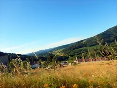 DSCN9699 DSCN9699