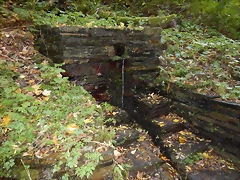 DSCN8717 DSCN8717