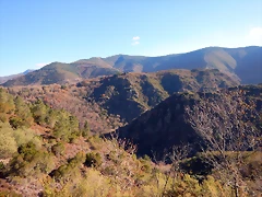 DSCN0199 DSCN0199