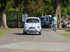 P1190088 P1190088