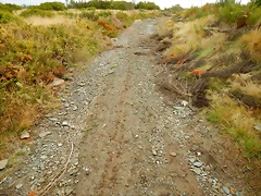 DSCN9879 DSCN9879
