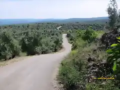 16, el llano del cura, marca