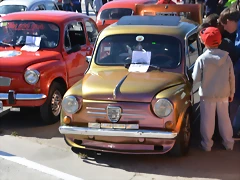 DSC_0100 DSC_0100