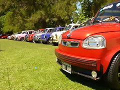P1050693 P1050693