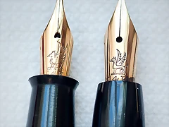 nibs wyvern bien-f2