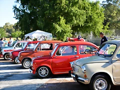 DSC_0134 DSC_0134