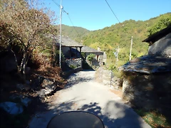 DSCN7784 DSCN7784