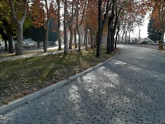 IMG_20171209_111603