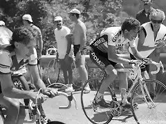 Perico-Tour1987-Mont Ventoux-Millar