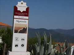 P7040270 P7040270