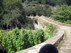 IMG_0781 IMG_0781
