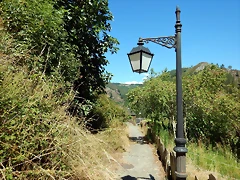 DSCN7792 DSCN7792