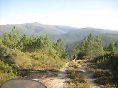 IMG_0676 IMG_0676