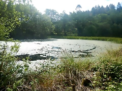DSCN6176 DSCN6176