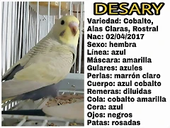FB_IMG_1495223451726 FB_IMG_1495223451726