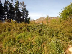 DSCN2116 DSCN2116