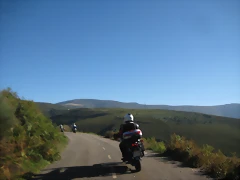 IMG_1008 IMG_1008
