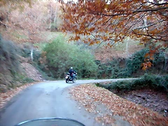 DSCN6769 DSCN6769