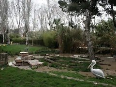Zoo de Barcelona 28-01-11 036 Zoo de Barcelona 28-01-11 036