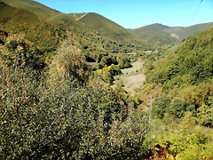 DSCN7822 DSCN7822
