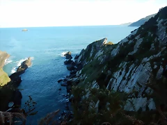 DSCN3030