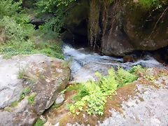 DSCN5846 DSCN5846