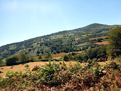 DSCN0048 DSCN0048