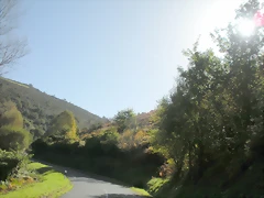 DSCN0033 DSCN0033