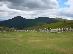 DSCN3269 DSCN3269