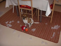 ukkie1 ukkie1