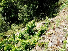 DSCN3380 DSCN3380