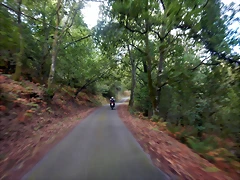 DSCN1198 DSCN1198