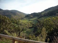 DSCN9232 DSCN9232
