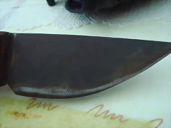 DSC06496