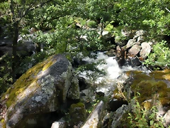 DSCN2774 DSCN2774
